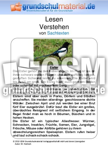 Elster - Sachtext.pdf